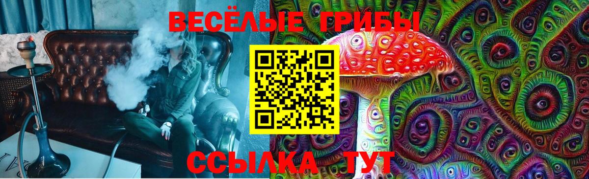 Артём  Галлюциногенные грибы ЛСД  Вход с VPN 